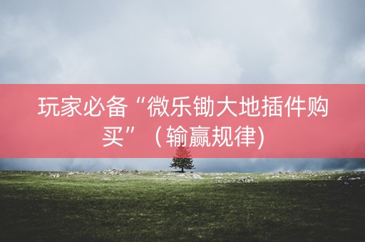 玩家必备“微乐锄大地插件购买”（输赢规律)