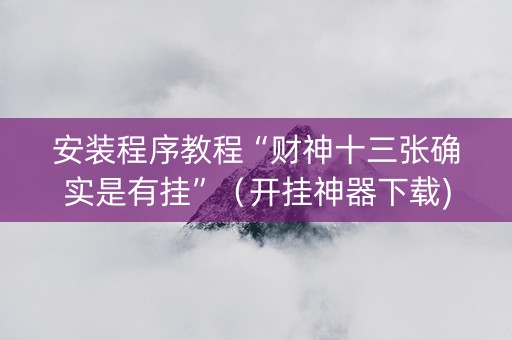 安装程序教程“财神十三张确实是有挂”（开挂神器下载)