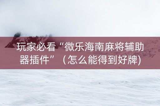 玩家必看“微乐海南麻将辅助器插件”（怎么能得到好牌)