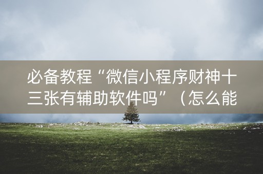必备教程“微信小程序财神十三张有辅助软件吗”（怎么能得到好牌)