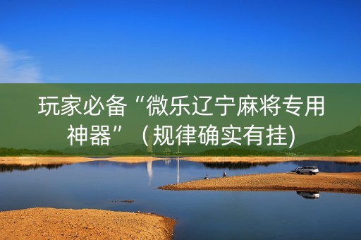 玩家必备“微乐辽宁麻将专用神器”（规律确实有挂)
