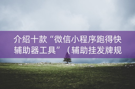 介绍十款“微信小程序跑得快辅助器工具”（辅助挂发牌规律)