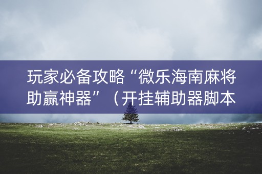 玩家必备攻略“微乐海南麻将助赢神器”（开挂辅助器脚本)