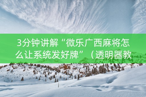 3分钟讲解“微乐广西麻将怎么让系统发好牌”（透明器教程)