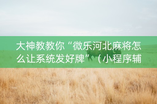 大神教教你“微乐河北麻将怎么让系统发好牌”（小程序辅助软件)