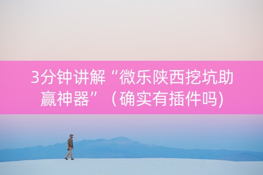 3分钟讲解“微乐陕西挖坑助赢神器”（确实有插件吗)