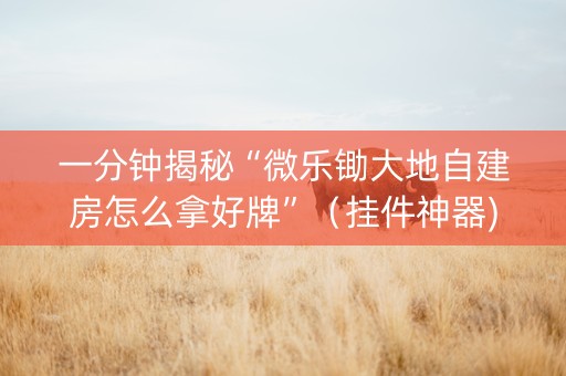 一分钟揭秘“微乐锄大地自建房怎么拿好牌”（挂件神器)