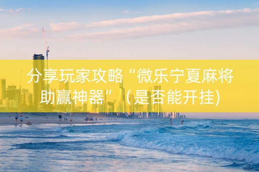 分享玩家攻略“微乐宁夏麻将助赢神器”（是否能开挂)