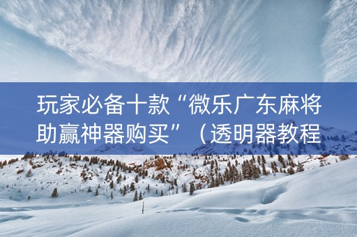 玩家必备十款“微乐广东麻将助赢神器购买”（透明器教程)