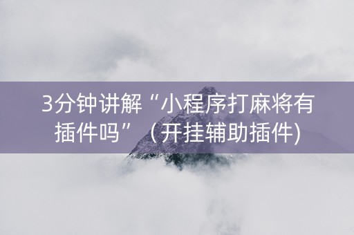 3分钟讲解“小程序打麻将有插件吗”（开挂辅助插件)