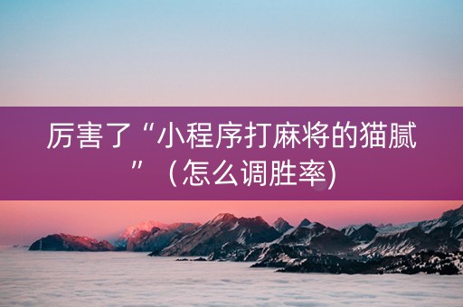 厉害了“小程序打麻将的猫腻”（怎么调胜率)