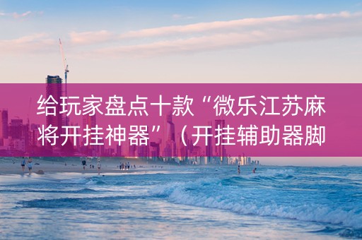 给玩家盘点十款“微乐江苏麻将开挂神器”（开挂辅助器脚本)