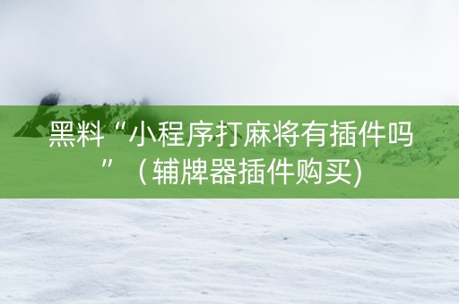 黑料“小程序打麻将有插件吗”（辅牌器插件购买)