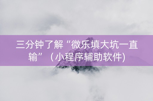 三分钟了解“微乐填大坑一直输”（小程序辅助软件)