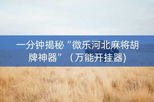 一分钟揭秘“微乐河北麻将胡牌神器”（万能开挂器)