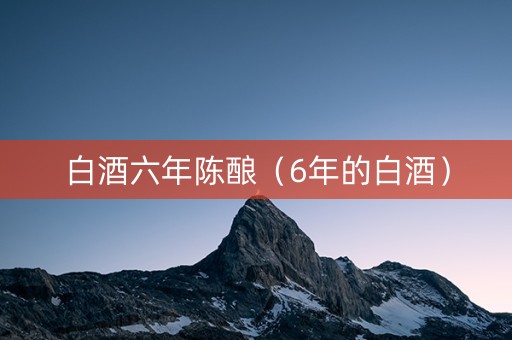 白酒六年陈酿（6年的白酒）