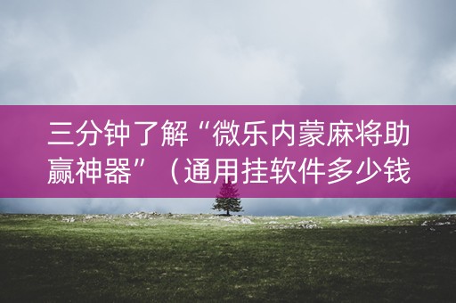 三分钟了解“微乐内蒙麻将助赢神器”（通用挂软件多少钱)