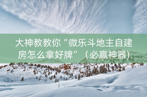 大神教教你“微乐斗地主自建房怎么拿好牌”（必赢神器)