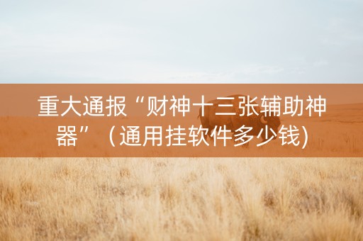 重大通报“财神十三张辅助神器”（通用挂软件多少钱)