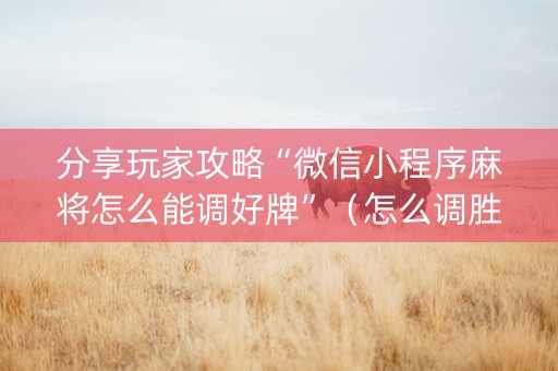 分享玩家攻略“微信小程序麻将怎么能调好牌”（怎么调胜率)