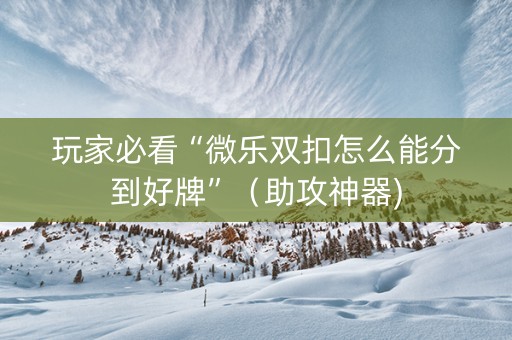 玩家必看“微乐双扣怎么能分到好牌”（助攻神器)