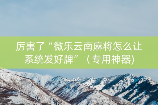 厉害了“微乐云南麻将怎么让系统发好牌”（专用神器)