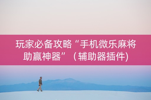 玩家必备攻略“手机微乐麻将助赢神器”（辅助器插件)
