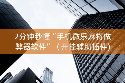 2分钟秒懂“手机微乐麻将做弊器软件”（开挂辅助插件)