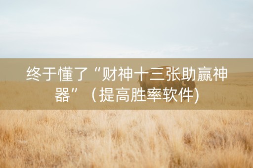 终于懂了“财神十三张助赢神器”（提高胜率软件)