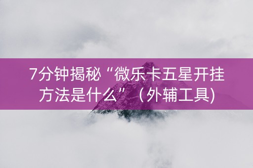 7分钟揭秘“微乐卡五星开挂方法是什么”（外辅工具)