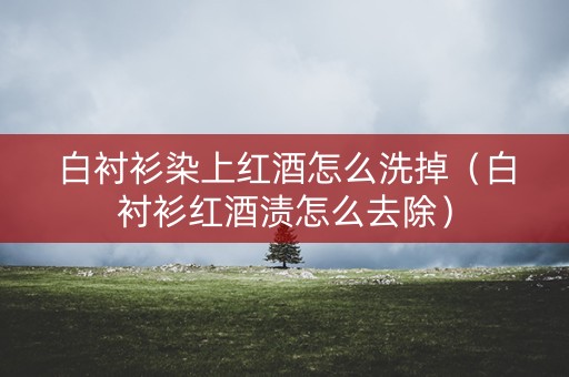 白衬衫染上红酒怎么洗掉（白衬衫红酒渍怎么去除）