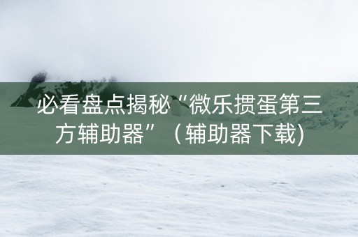 必看盘点揭秘“微乐掼蛋第三方辅助器”（辅助器下载)