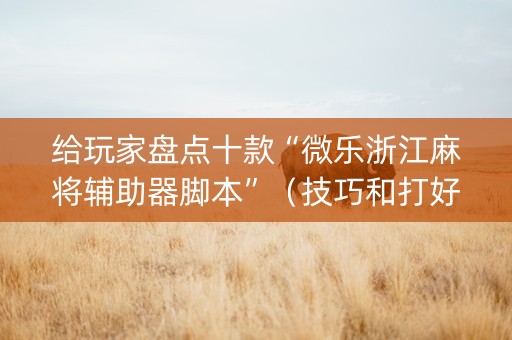 给玩家盘点十款“微乐浙江麻将辅助器脚本”（技巧和打好牌方法)