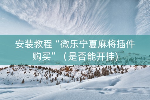 安装教程“微乐宁夏麻将插件购买”（是否能开挂)