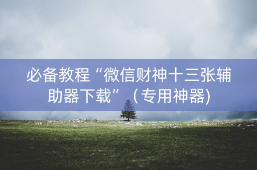 必备教程“微信财神十三张辅助器下载”（专用神器)