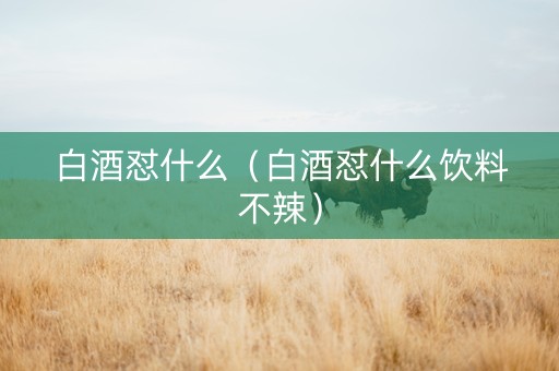 白酒怼什么（白酒怼什么饮料不辣）