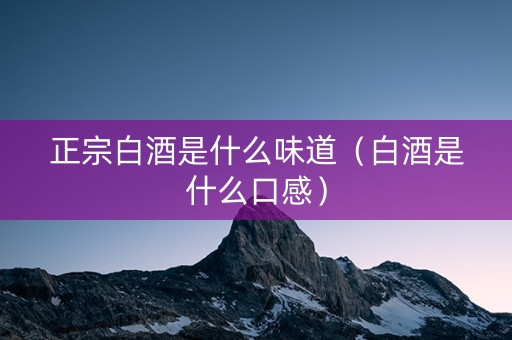 正宗白酒是什么味道（白酒是什么口感）