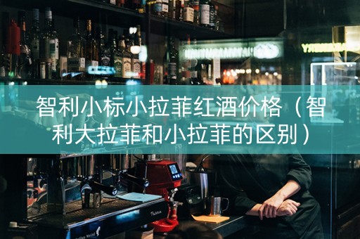 智利小标小拉菲红酒价格（智利大拉菲和小拉菲的区别）