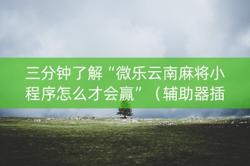 三分钟了解“微乐云南麻将小程序怎么才会赢”（辅助器插件)