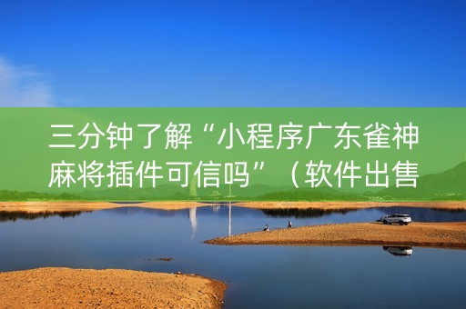 三分钟了解“小程序广东雀神麻将插件可信吗”（软件出售)