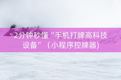 2分钟秒懂“手机打牌高科技设备”（小程序控牌器)