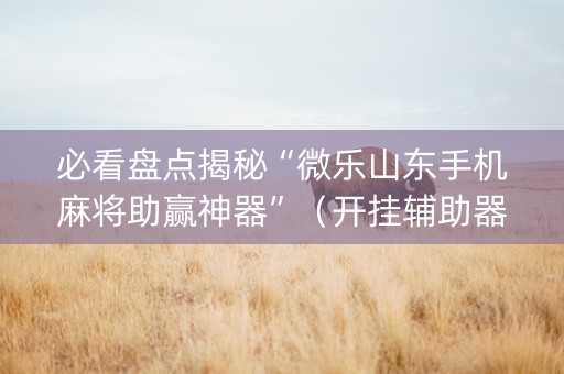 必看盘点揭秘“微乐山东手机麻将助赢神器”（开挂辅助器插件)