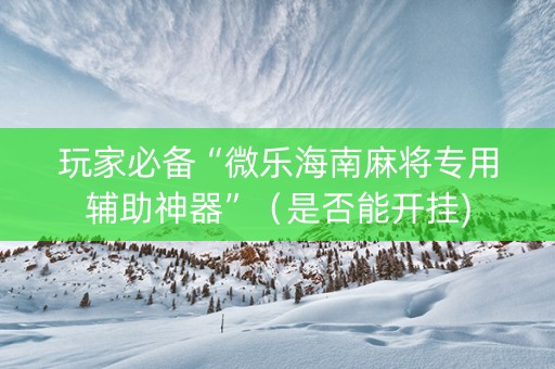 玩家必备“微乐海南麻将专用辅助神器”（是否能开挂)