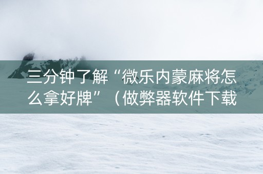 三分钟了解“微乐内蒙麻将怎么拿好牌”（做弊器软件下载)