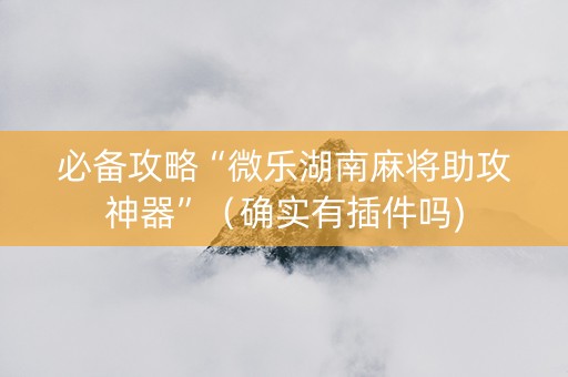 必备攻略“微乐湖南麻将助攻神器”（确实有插件吗)