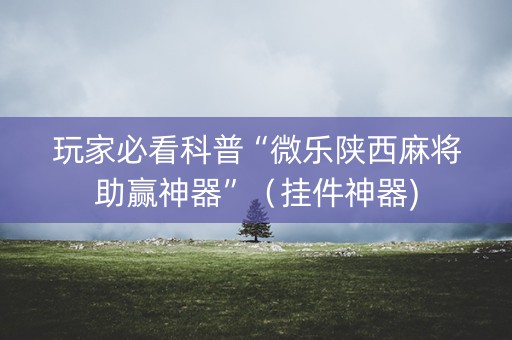 玩家必看科普“微乐陕西麻将助赢神器”（挂件神器)