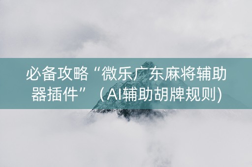 必备攻略“微乐广东麻将辅助器插件”（AI辅助胡牌规则)