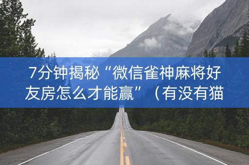 7分钟揭秘“微信雀神麻将好友房怎么才能赢”（有没有猫腻)