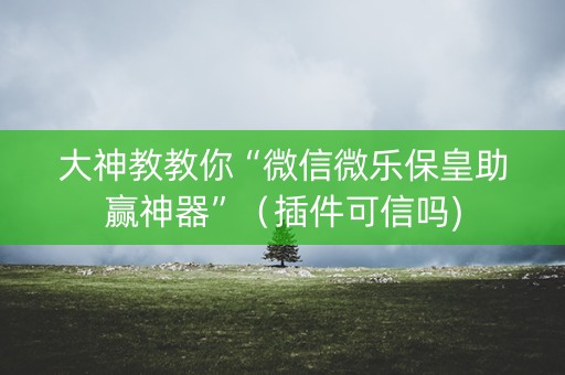 大神教教你“微信微乐保皇助赢神器”（插件可信吗)