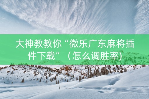 大神教教你“微乐广东麻将插件下载”（怎么调胜率)